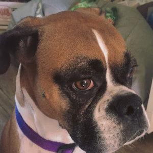 Meet your Posher, Chloe